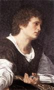 SAVOLDO, Giovanni Girolamo Bust of a Youth sg oil painting